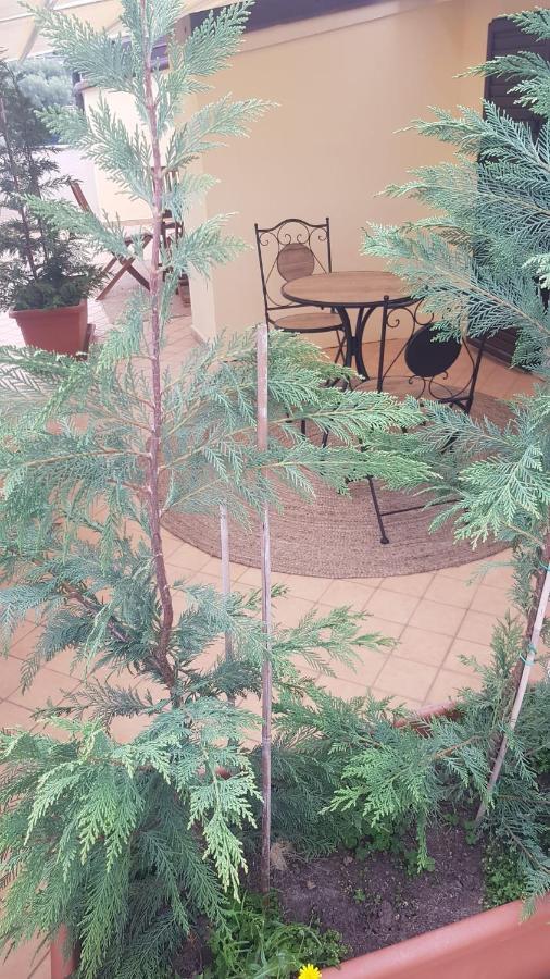 רוצ'לה איוניקה B&B E Casa Vacanza Al Castello מראה חיצוני תמונה